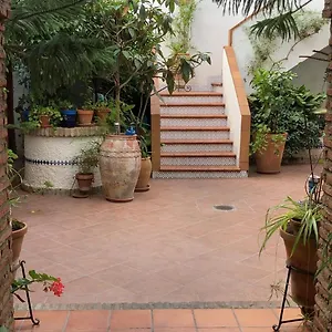 De Estreno En Patios Tipicos De San Basilio Cordoue